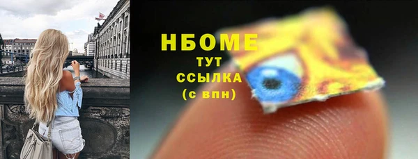 шишки Верея