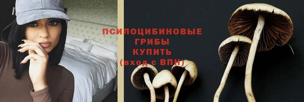 шишки Верея