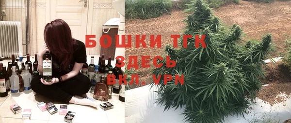шишки Верея