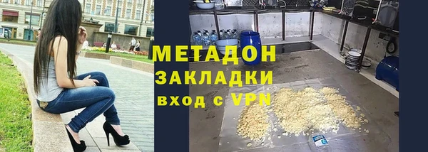 шишки Верея