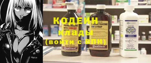 шишки Верея