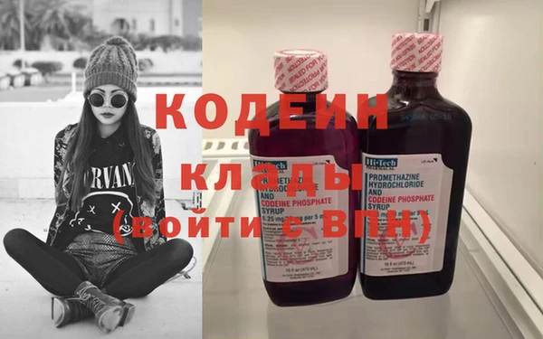 шишки Верея