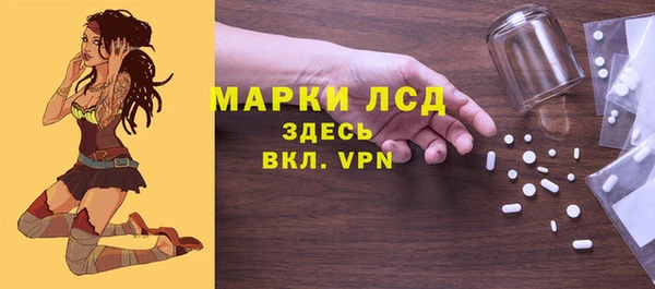 шишки Верея
