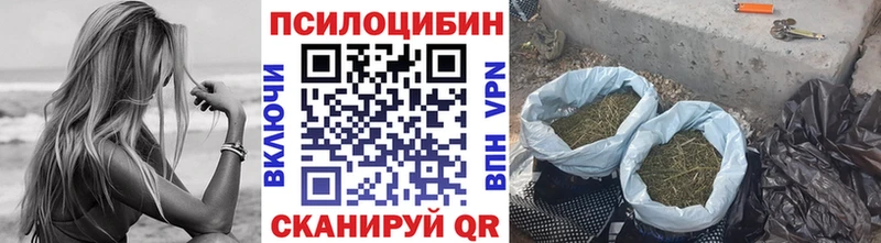 сколько стоит  Новодвинск  МЕГА зеркало  Галлюциногенные грибы ЛСД 